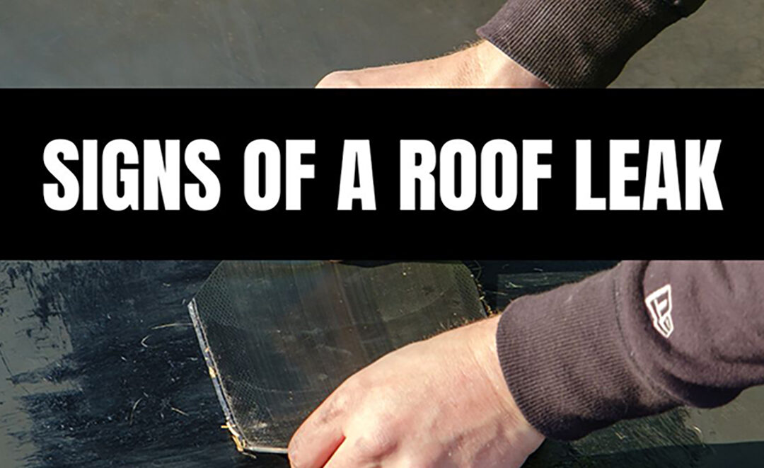 Identifying Signs of Attic Roof Leaks